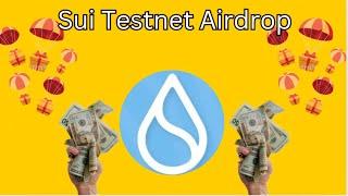 Suit testnet Airdrop