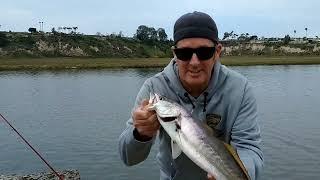 Newport Harbor Back Bay.. Surprise catch!