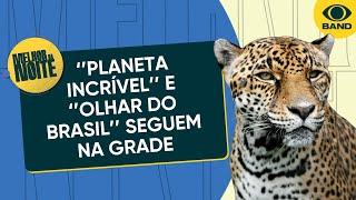 Olhar do Brasil e Planeta Incrível permanecem na grade do Melhor da Noite | Melhor da Noite