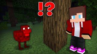 JJ found Scary Chicken ?!