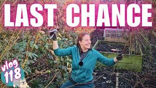 Ep118: QUICK! Urgent March Gardening Jobs Before It’s Too Late