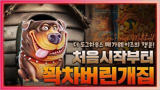 [슬롯머신][슬롯]  The Dog House Multihold : 도그하우스 멀티홀드  처음 시작 부터 꽉처버린 개집! [슬롯추천]