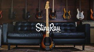 Ernie Ball Music Man StingRay 4 Classic Bass: Joe Dart Demos