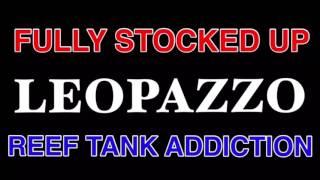 FULLY STOCKED UP - LEOPAZZO ( All the way up remix ) REEF TANK ADDICTION