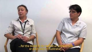 BloodMove - Stewardship and Ownership