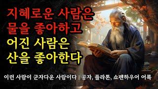 이런 사람이 군자다운 사람이다 | 지혜로운 사람은 물을 좋아하고 어진 사람은 산을 좋아한다 | 공자, 플라톤, 쇼펜하우어 어록 | 명언 모음