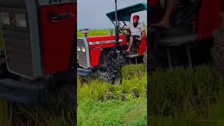 Massey Ferguson 246 Di dayna track Massey lover dayna track #246#4x4#massey