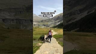 3 rutas con perro  en España #ruta #perro #viaje #españa