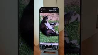 ميزة رهيبة في هاتف HONOR400 