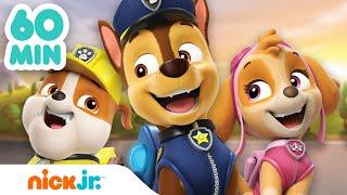 PAW Patrol | ¡Lo mejor de la Patrulla de Cachorros durante 1 hora! | Nick Jr. en Español