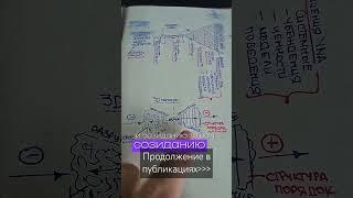 ИЛЛЮЗИЯ ДОБРА/ЗЛА #архитекторпротореальности #ментальныйархитектор #управлениереальностью