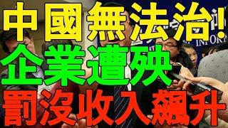 【向松祚預言成真】中國無法治！企業遭殃，遠洋捕撈、罰沒收入飆升！當權力不受控制，私有財產不受保護，給再多的政策都沒用！