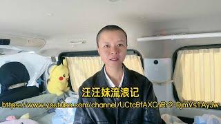 【汪汪妹流浪记】正版声明：YouTube的朋友们大家好，这里是汪汪妹在YouTube唯一频道