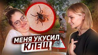 Меня укусил клещ | клещевой энцефалит