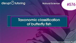 #576 Taxonomic classification of butterfly fish