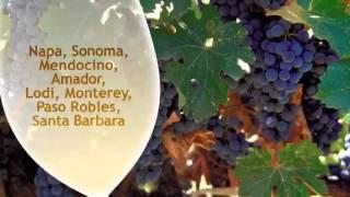 California Wine Month on TaxiTV