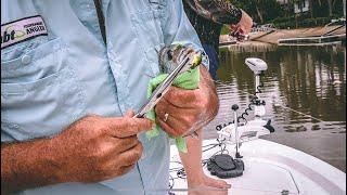 HOW TO CRANK DIRTY WATER FOR BREAM | WITH SPORTYS FISHING