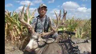 226" Eastmans Cover Buck! Bob Fromme Colorado Mule Deer Hunt