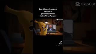 Vivan Nguyen Avocate inc.