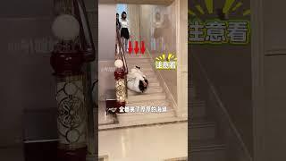 為何女演員摔下樓梯「安然無恙」？本以為是演技精湛，內幕揭開是我太天真