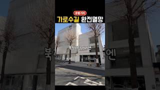 공실률 50%.. 강남 가로수길이 이렇게까지 무너진 이유