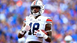 Most UNDERRATED WR in the SEC || Auburn WR Seth Williams Highlights ᴴᴰ