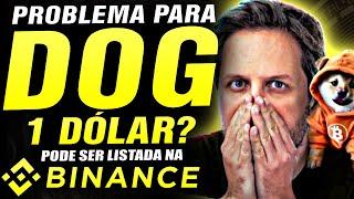  PROBLEMA PARA CRIPTOMOEDA DOG GO TO THE MOON DOG VAI LISTAR NA BINANCE ? 1 DÓLAR ? AUGUSTO BACKES