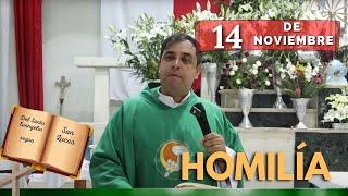 EVANGELIO DE HOY jueves 14 de noviembre del 2024 - Padre Arturo Cornejo