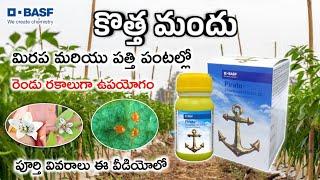 New BASF pirate insecticide and acaricide | పైరేట్ పురుగు మందు