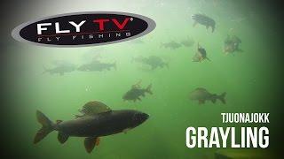 FLY TV - Tjuonajokk Grayling - Fiske med Torrfluga efter Harr i Tjuonajokk