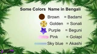 Learn Bengali Colors Name in English For Beginners