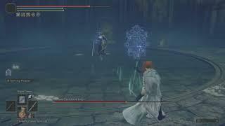 Rellana vs Sorcerer (Elden Ring NG+)