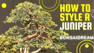 How to style a Juniper