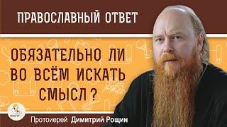 Обязательно ли во всем искать смысл ? Протоиерей Димитрий Рощин