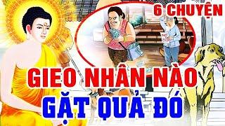 Luật Nhân Quả Chớ Xem Thường, "GIEO NHÂN NÀO GẶT QUẢ ĐÓ" | Chuyện Nhân Quả 2024 Hay - Nghe Mà Tránh