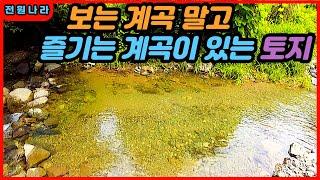 냉기가 흘러나와서/ 등골이 오싹한/ 계곡을 품은 토지~~ [[ 홍천-명성부동산 ]]