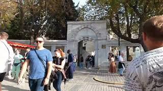 Exploring Istanbul #istanbul #turkey #travel #traveldestinations #explore #discover #viralvideo