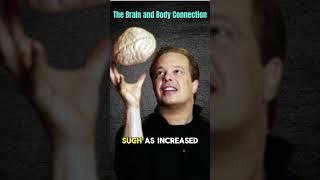 The Brain And Body Connection #motivation #mindsetshift