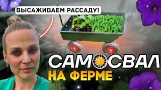 Высаживаем рассаду овощей в открытый грунт. Садовая тачка Самосвал, телега для сада Unikit.