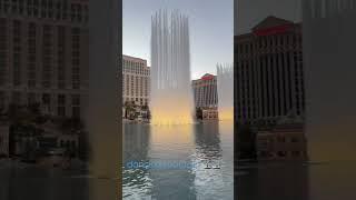 Dancing Fountain #dancingfountain #dancingfountains #shorst #shortsvideo #shortsfeed #shorts