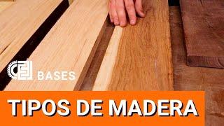 Tipos de madera. Qué madera usar? Qué diferencia hay entre pino y encino? - BASES de la Carpinteria