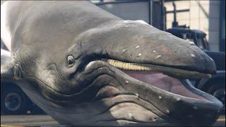 The Largest Mammal on Land
