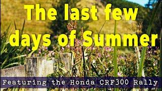 Honda CRF300L Rally : The last days of summer 2024