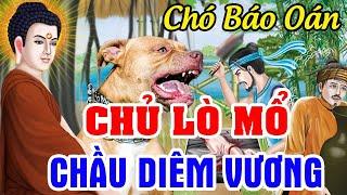 Báo Ứng Hiện Đời, Chó Báo Oán - Chủ Lò Mổ HẦU DIÊM VƯƠNG | Chuyện Nhân Quả Hay Nhất 2024