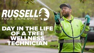 Day in the Life of a Tree Wellness Technician I Russell Tree Experts