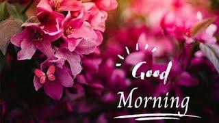 16.Aug.,22 Darshan Ashram Morning Health Edu Session 7-8 Am