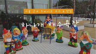 세바미가 찐추하는 무의도 하나개 해수욕장 맛집, 카페 (서울근교, 무의도 데침쌈밥, 하나개팜)