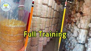 Oyester mushroom cultivation full training #Bpchaudhari #mushroom