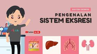 SISTEM EKSRESI MANUSIA