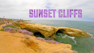 Sunset Cliffs Natural Park (2023) - San Diego - California - USA - Walking - Tour - 4k